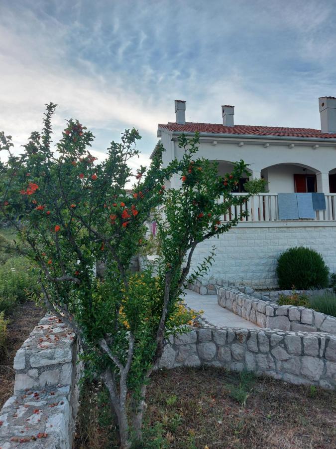 Goga Villa Ždrelac Exteriör bild